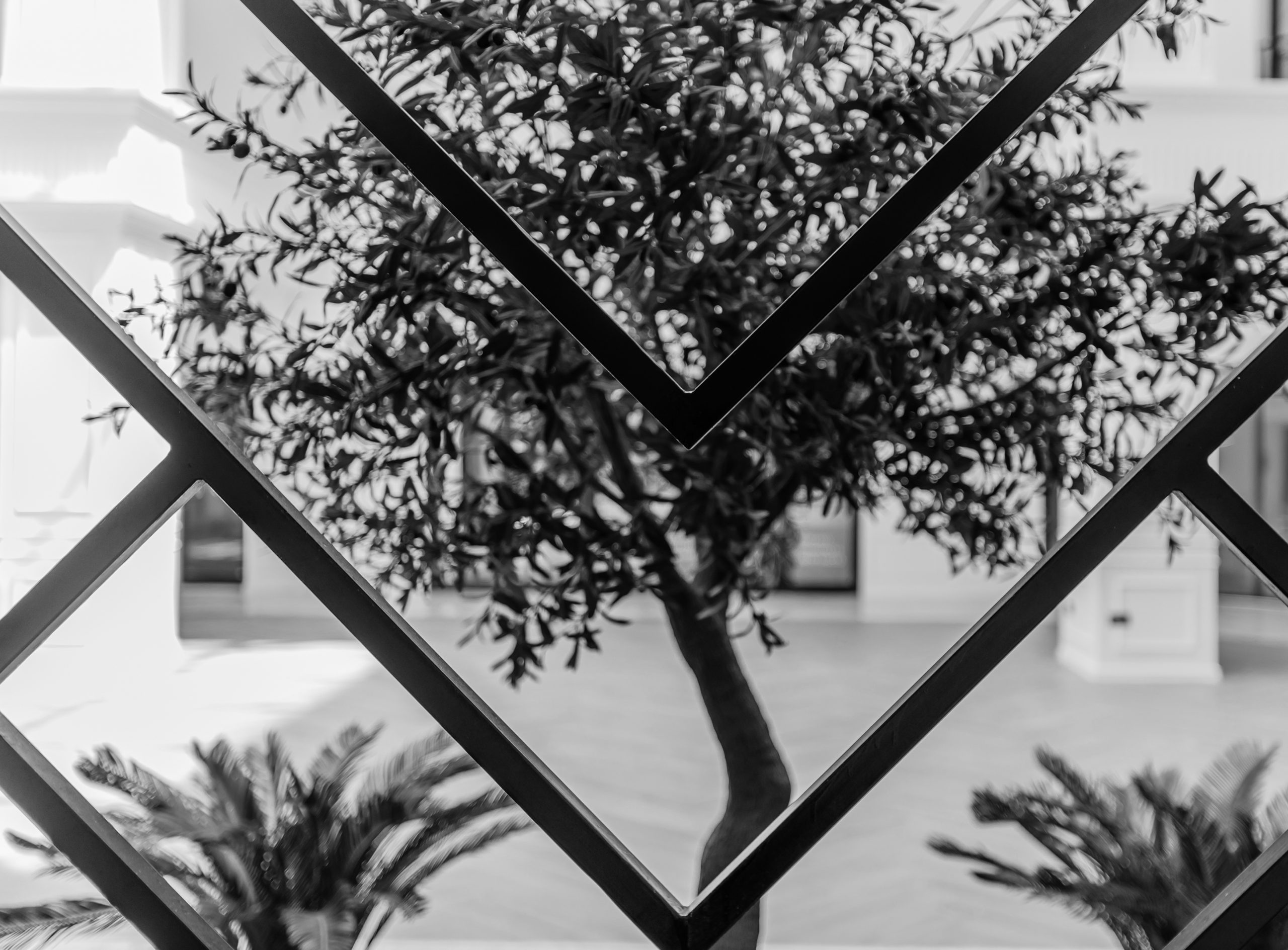 Carthage Center – Espace commun